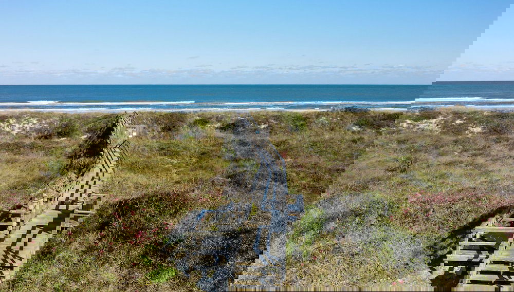 Servicios del alojamiento