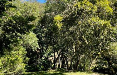 Memora Guesthouse Bateias - Casa Inteira e quartos em chácara - Photo 74