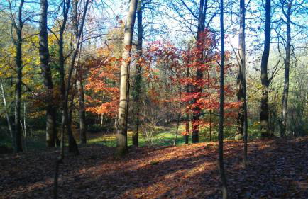 In Cima al Bosco - Photo 22