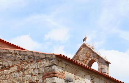 9, Cimo da Aldeia - Foto 27