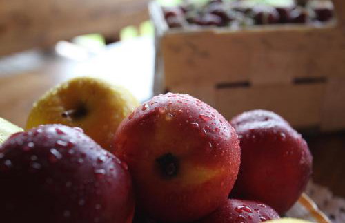 Apartamenty Osowa nad jeziorem Okmin - Foto 9