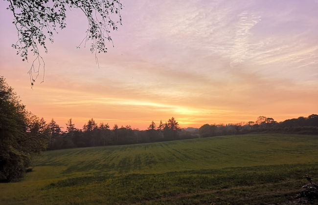 Vintage all Terrain Italian Army Truck - Foto 11