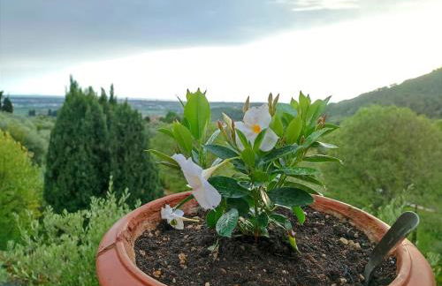 Conca di Sopra Home - Foto 23