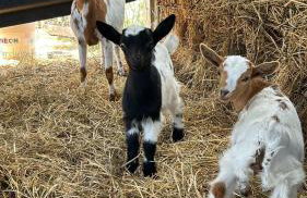 Casa degli Ulivi - Foto 36