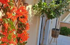 Corfu Maisonette House - Foto 12