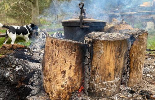 Ostoja Miłolas - Foto 42