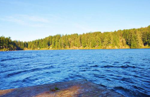 Mercer Lake Estate - Foto 31