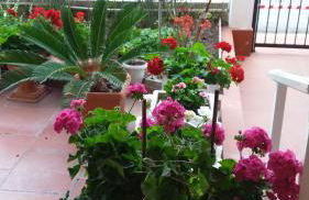 SEA VIEW TONIAS APARTMENTS Poseidon - Foto 14