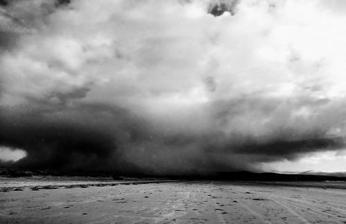 Shifty Chicken Shack - Foto 35