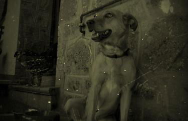 Agriturismo Podernuovo - Foto 26