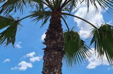 Premium Apartment 8 pers with a rooftop swimming pool and sea views - 3 min Playa de Cura - Foto 5