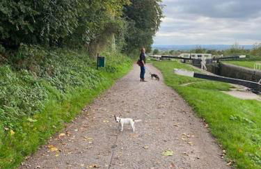 Eclectic Barn - Pergola & Dog-Friendly Garden - Photo 73