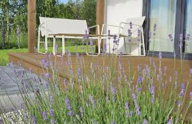 Osada Mech i Fale - Foto 31