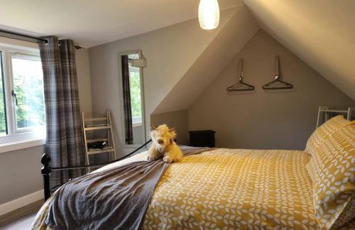 Cozy Nook - Photo 20