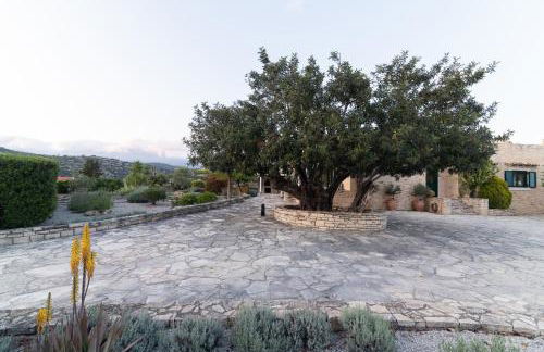 Carob Villa - Photo 73