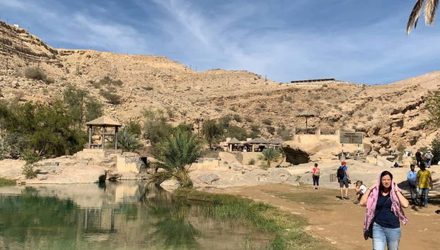 Wadi Bani Khalid + Wahiba Sands Private Day Trip - Foto 2