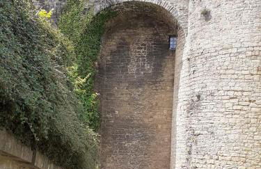 Château des Princes " Calme et sérénité au cœur de Sedan " - Foto 55