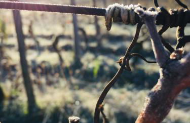 Gîte La Source - Foto 44