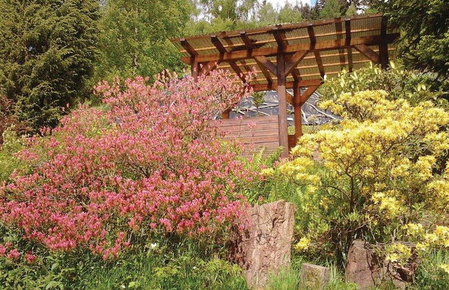 1 bedroom Apartment in Stárkov with swimming pool and garden - Photo 24