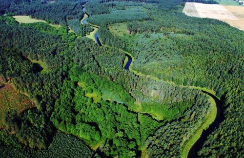 Stodoła i Stolarnia - Foto 26