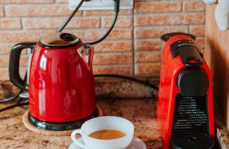 La Perla Del Puerto - Photo 16