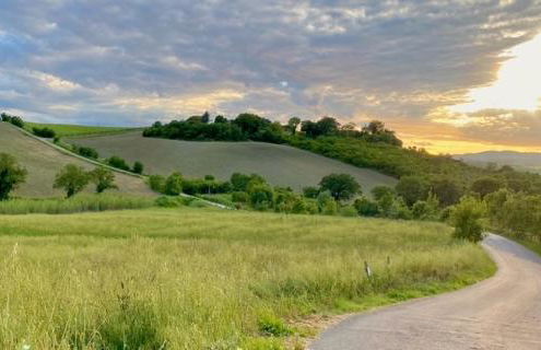 Podere Ainzara - Foto 2