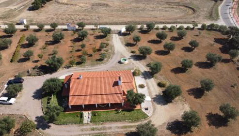 Montinho do Poço - Photo 2, Garden