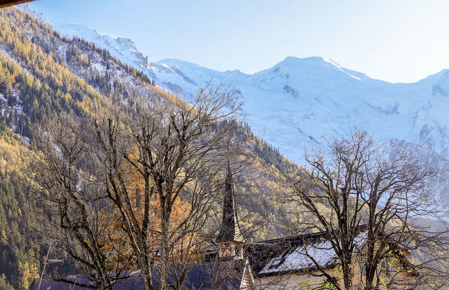 L'Espace Montagne - Foto 18