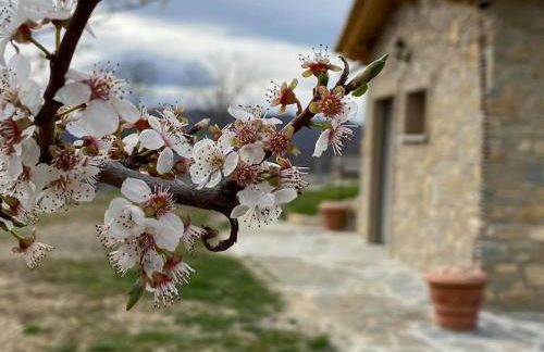 Casa Tincana - Foto 45