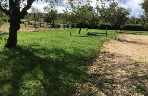 Dan's Apartment - Foto 17