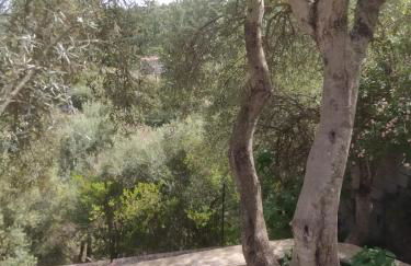 Casa Olea - Photo 43