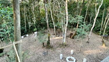 Bosque na Montanha Encantada - Foto 4