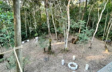 Bosque na Montanha Encantada - Foto 4