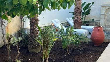 Saint George Cottage - Foto 5, Garden