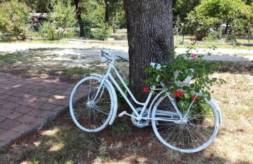 Apartment PARENZANA, little row HOUSE with big green yard in central Istria - Foto 40