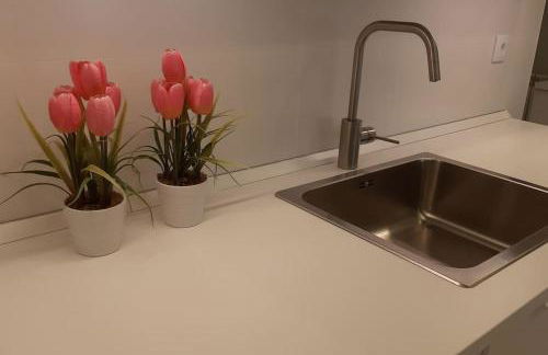 LOVINBurgos Amarás Burgos y volverás - Foto 6