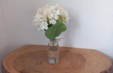 Alto do Sossego - Photo 28