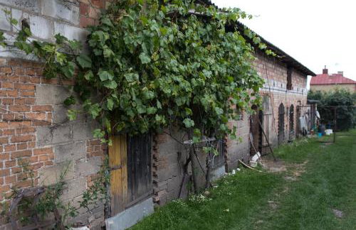 Agroturystyka Karpińscy - Foto 26