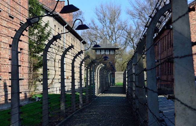 Auschwitz Day Trip - Foto 4