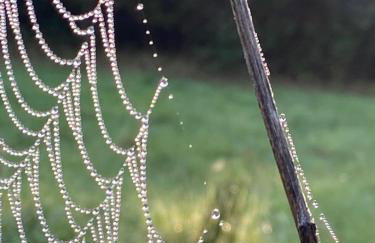 Ferienhaus Kleine Auszeit - Foto 51