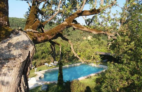 Le Côté d'Elle - Foto 9