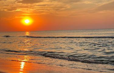 BURSZTYNOWA-PRZYSTAŃ - Foto 55