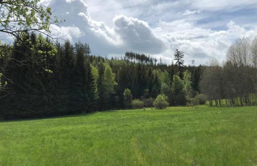 Sowia Enklawa - Foto 38