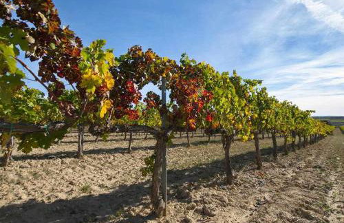 Masia Olivera - Foto 10