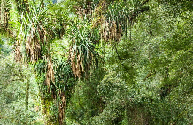 Day Trip to El Rey National Park - Photo 5