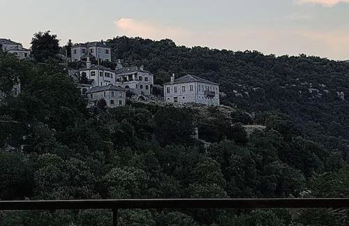 Βίτσα Πετρόκτιστο Αρχοντικό "Ιόλη" με θέα Ζαγόρι - Foto 41