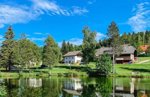 Ferienwohnungen Am Skilift - Foto 1