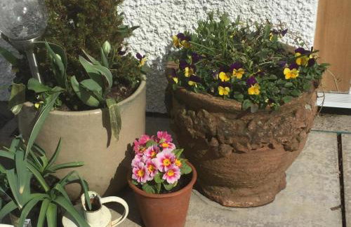 Oban Seil Farm - Photo 28