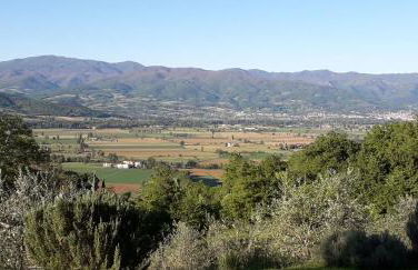 Vigna del Poggio - Foto 18