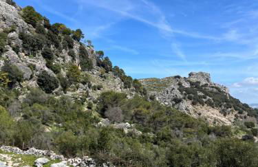 El Endrinal - Foto 60